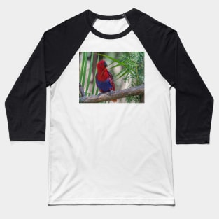 Rosella Baseball T-Shirt